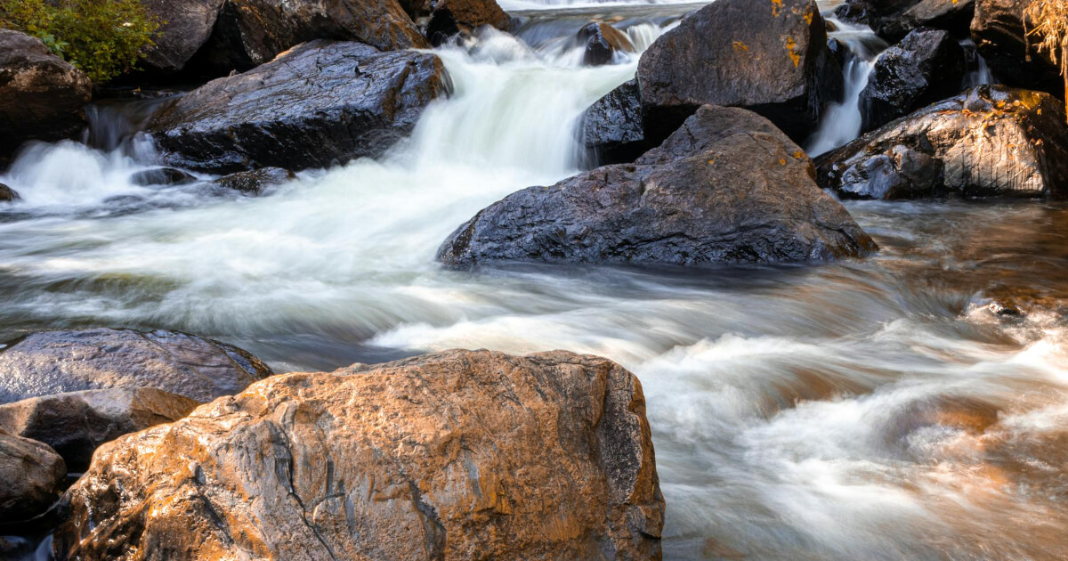 Vorsorge aktuell | März 2026